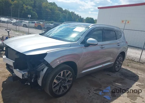 2023 Hyundai Santa Fe Calligraphy z USA, uszkodzony, nr VIN 5NMS5DAL7PH585633